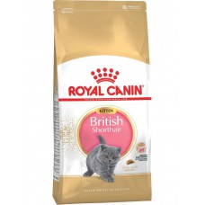 Royal Canin British Shorthair Kitten Корм сухой полнорационный сбалансированный для кошек, специально для британских короткошерстных котят в возрасте до 12 месяцев
