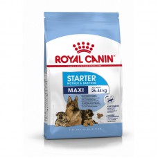 Royal Canin Maxi Starter Корм для щенков крупных размеров до 2-х месяцев, беременных и кормящих сук