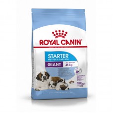 Royal Canin Giant Starter Корм для щенков очень крупных размеров до 2-х месяцев, беременных и кормящих сук